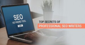 Top Secrets of Professional SEO Writers | SEO Writing Tips